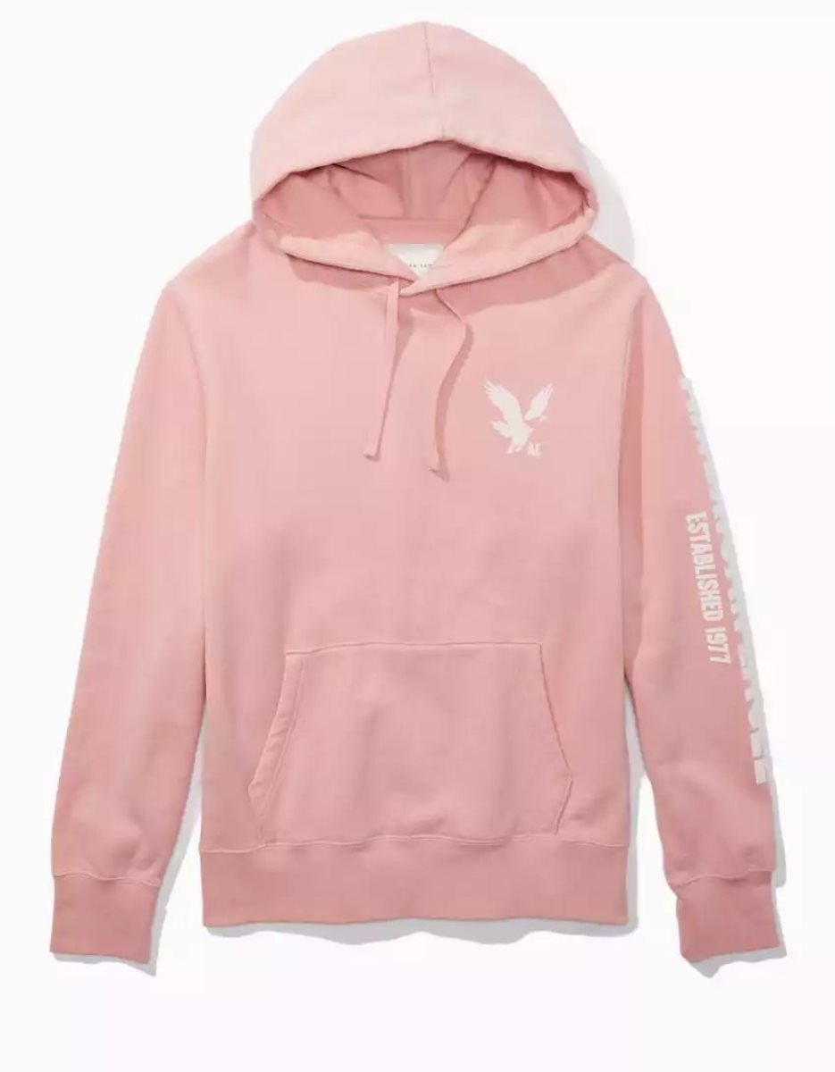 Sweat à Capuche American Eagle AE Super Soft Icon Graphique Rose Homme | YWS-31942997